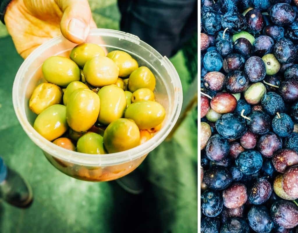 spanish olives seville