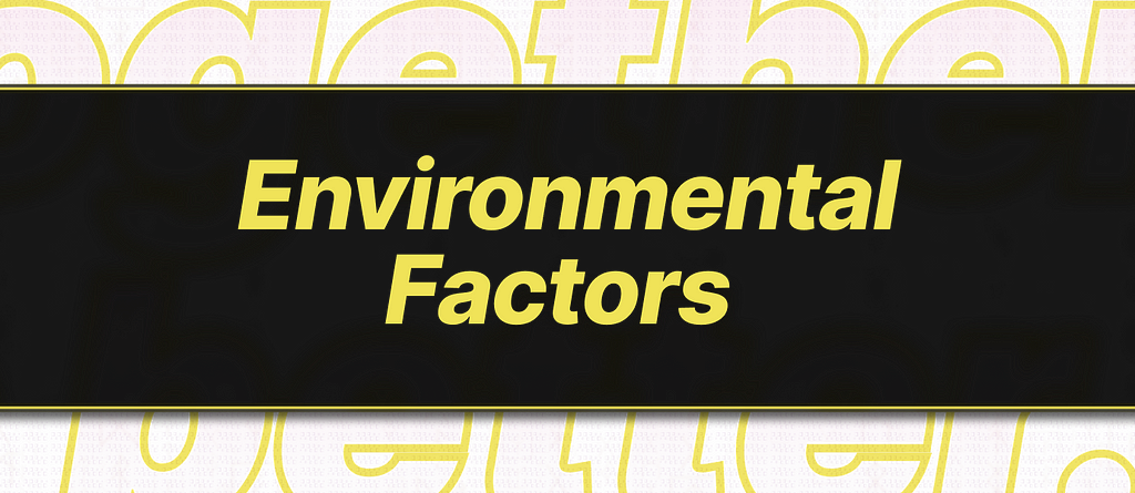Banner for ‘Environmental Factors’ section of the article on causes and origins of paranoia to increase emotional intelligence.