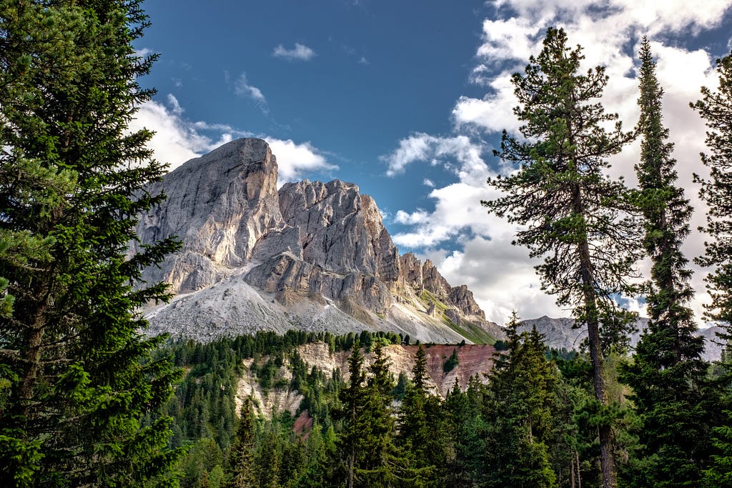 A beautiful mountain surrounded by trees.