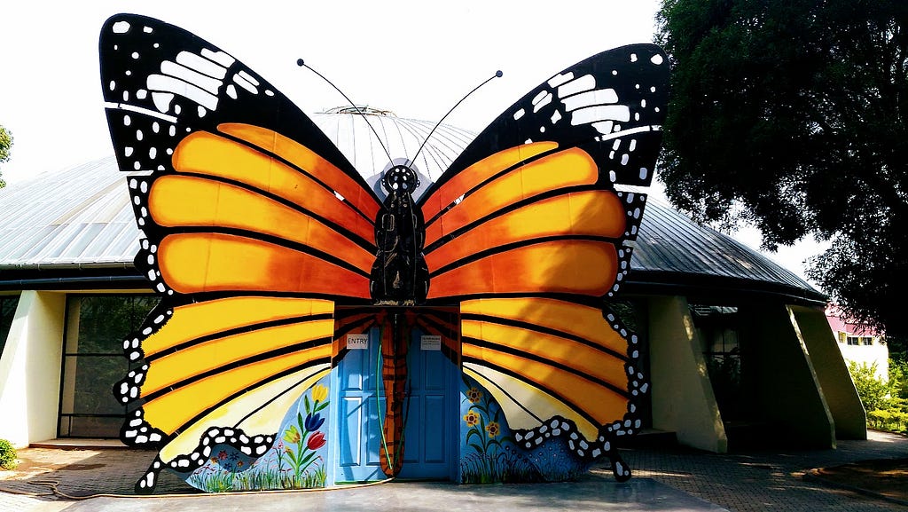 Butterfly Park, attached to the Bannerghatta Biological Park — Vidya Sury ©