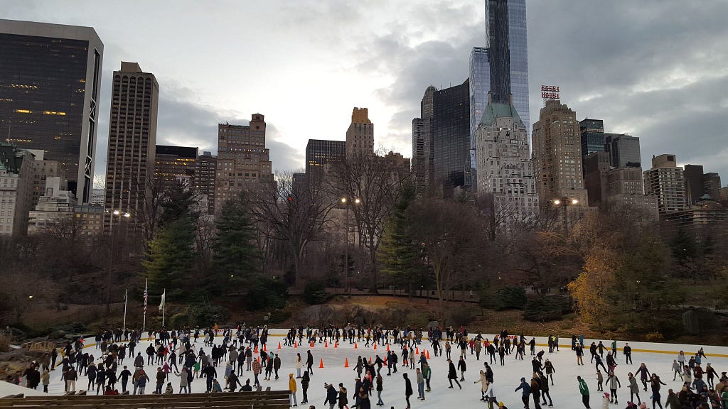 Central Park in Winter