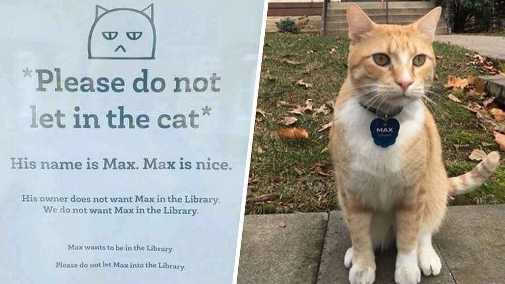 The image is split down the middle. On the left is a flyer requesting library visitors to not let Max in the library. On the right is a picture of a orange cat with a name tag. The name tag reads, Max.