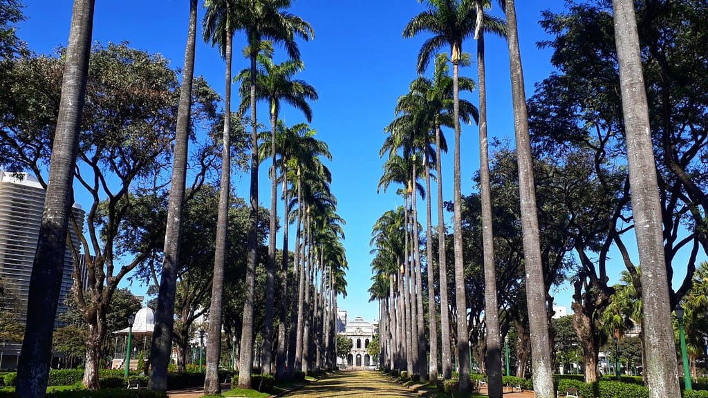 Foto da praça da liberdade. Várias palmeiras altas formam um caminho no meio da praça e ao fim dá pra ver um prédio histórico