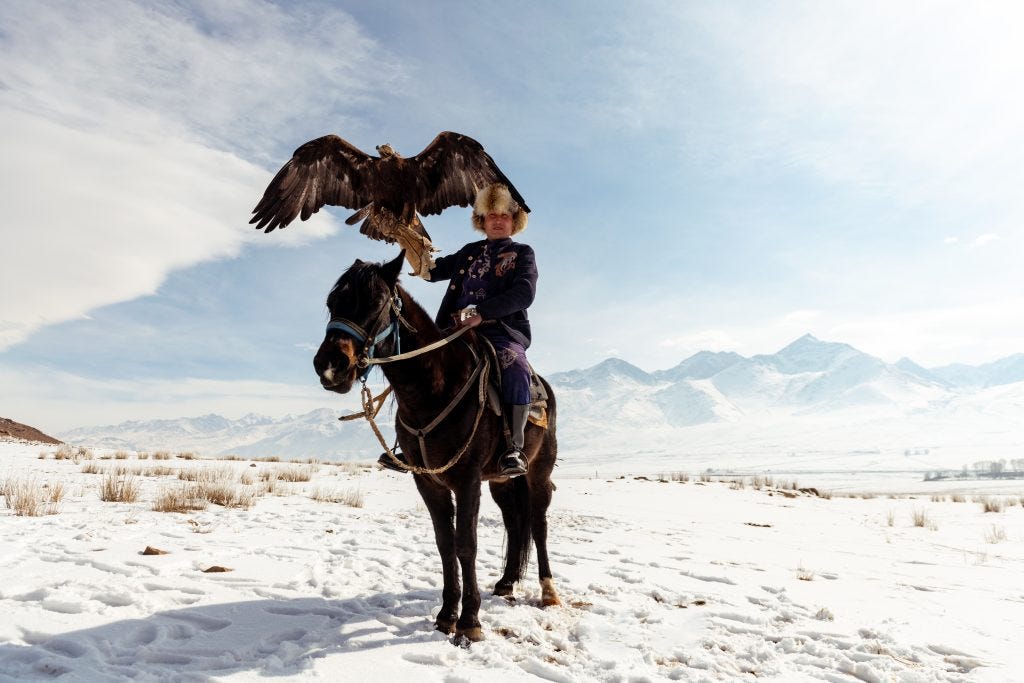 Rider on horseback with eagle | Travel Land |