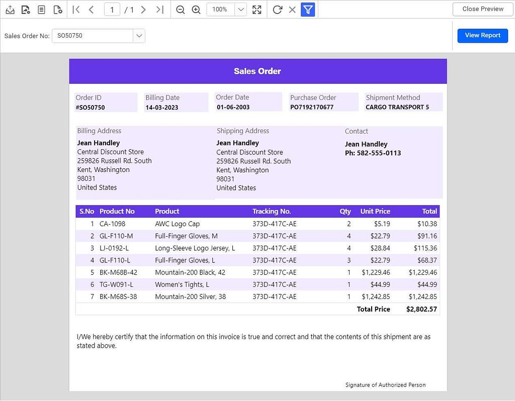 Report page with styles and colors. | Professional Reports