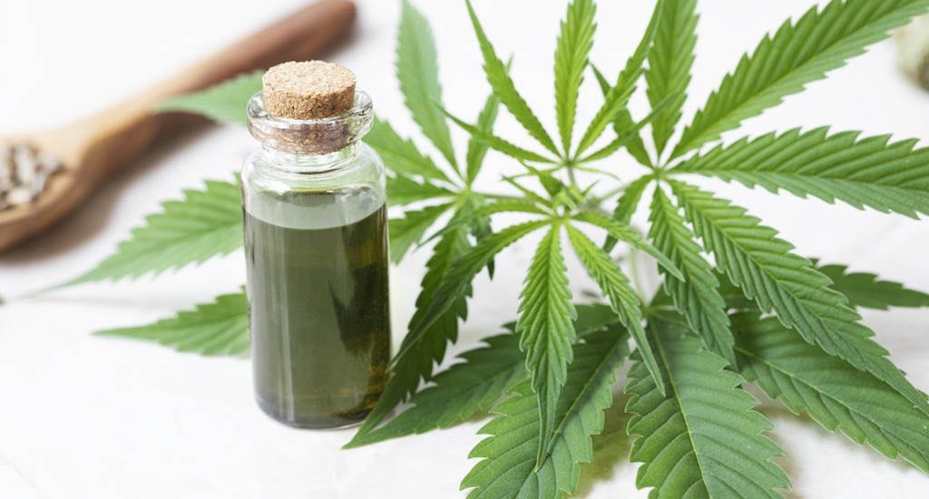 CBD oil in small bottle with cannabis leaves.
