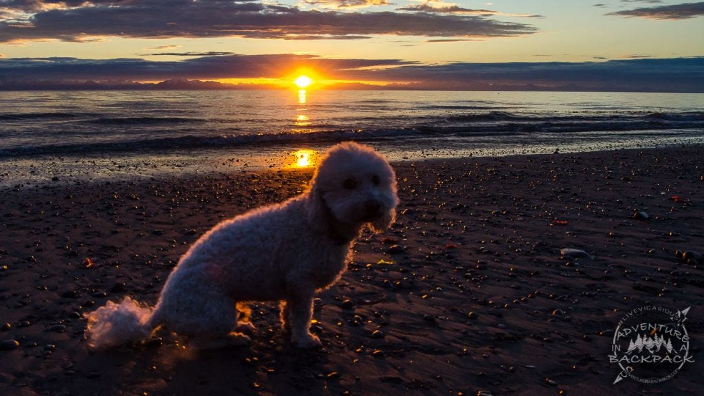 Sunsets on the beach