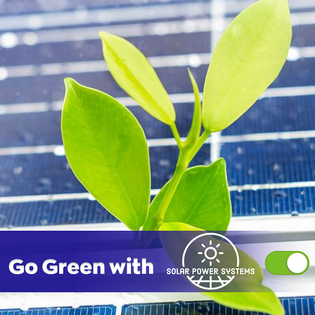 A plant growing on a solar panel with the text goes green with solar systems