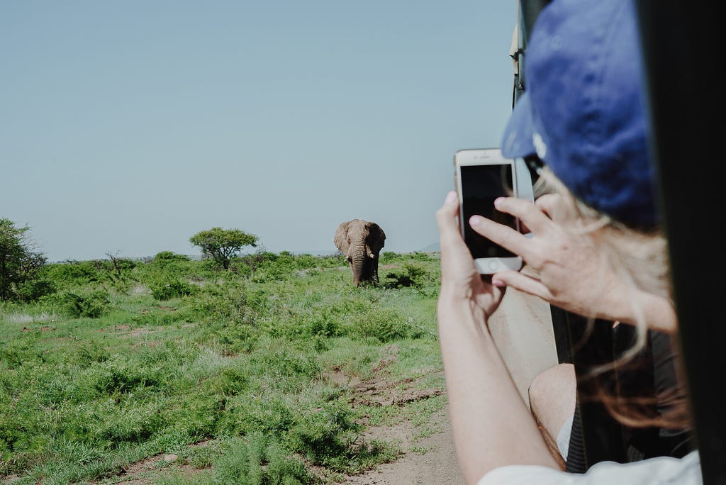 A woman takes a picture of an elephant in the distance from a car