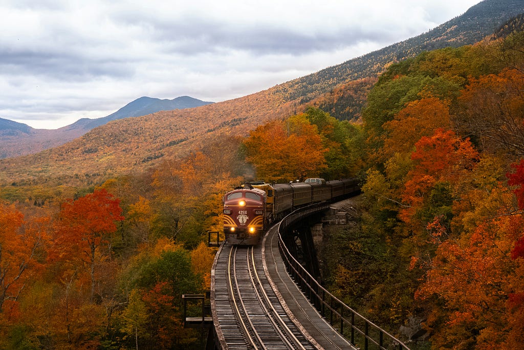 train riding on railway through beautiful fall colors