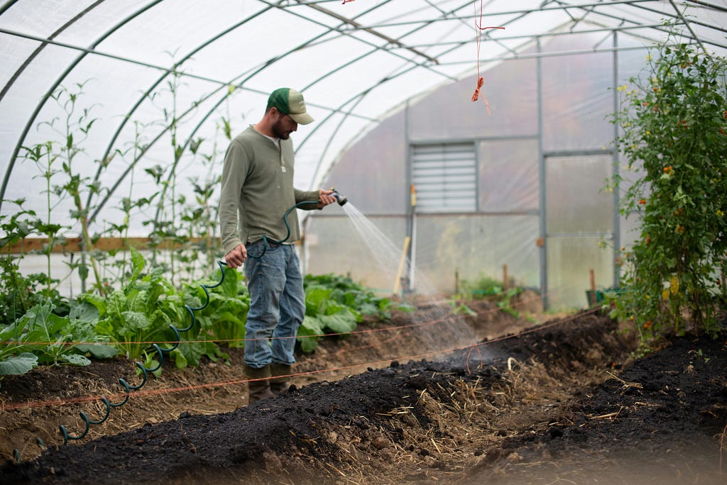 Man watering the plants in a glass house