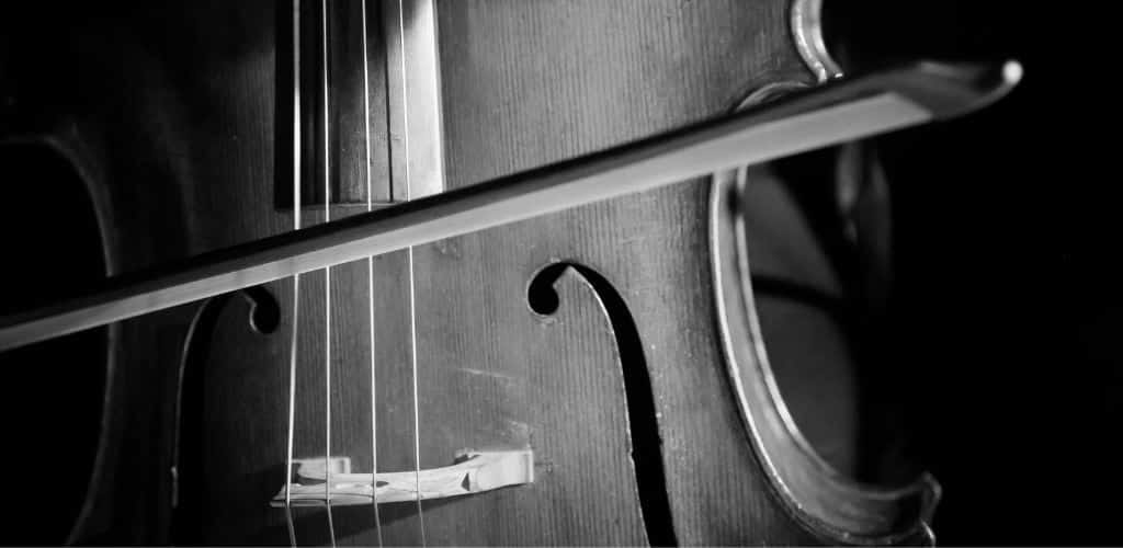 black and white cello