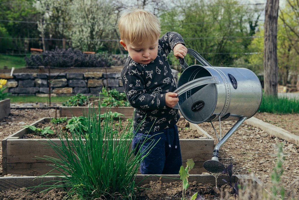 a little boy is watering to plants