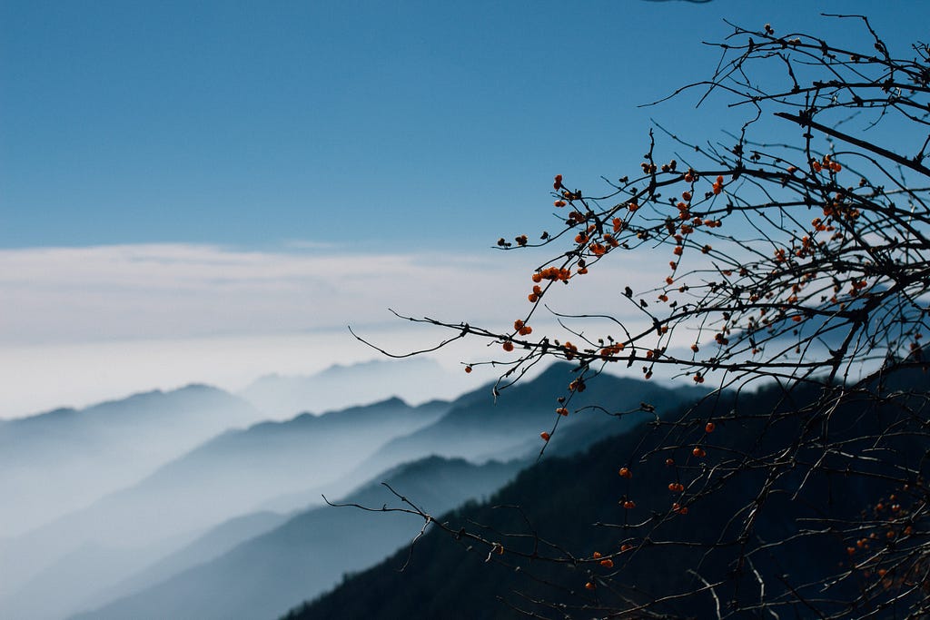 The photo shows a mountain landscape with a fog that makes the contours blurry. In the foreground the branches of a leafless tree