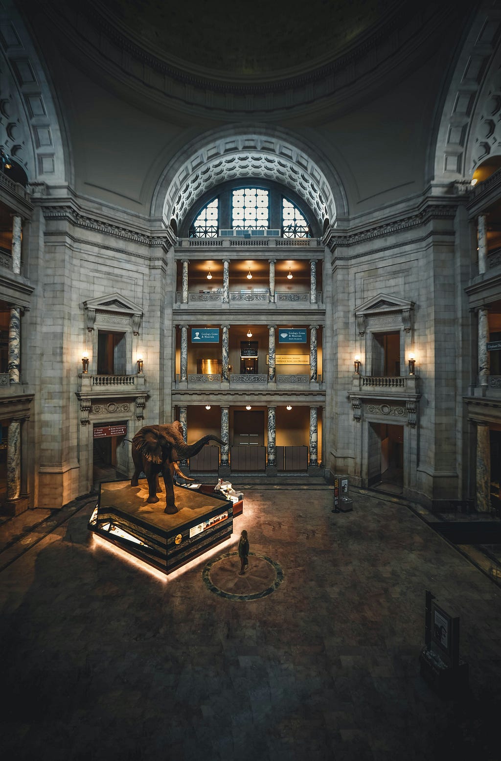 An African elephant sculpture stands on a platform in an atrium that is more than 3 storeys high. A person stands nearby looking at the sculpture. They appear tiny in comparison.