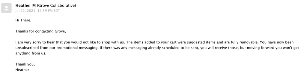 An email from a customer service agent claiming that the items that were added to a cart without the user’s permission are only suggestions.