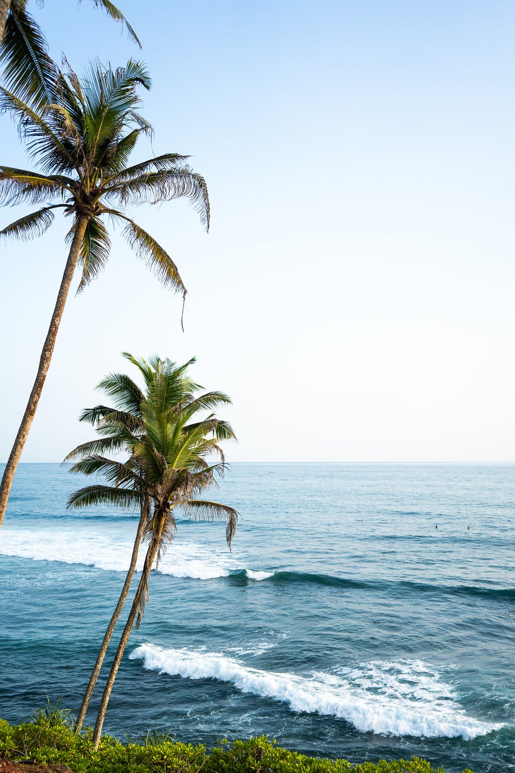 Coconut trees against the sea — Small town tale from coastal India