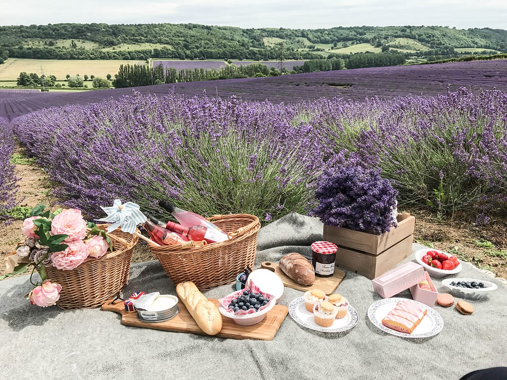 Lavender field Hop Shop kent