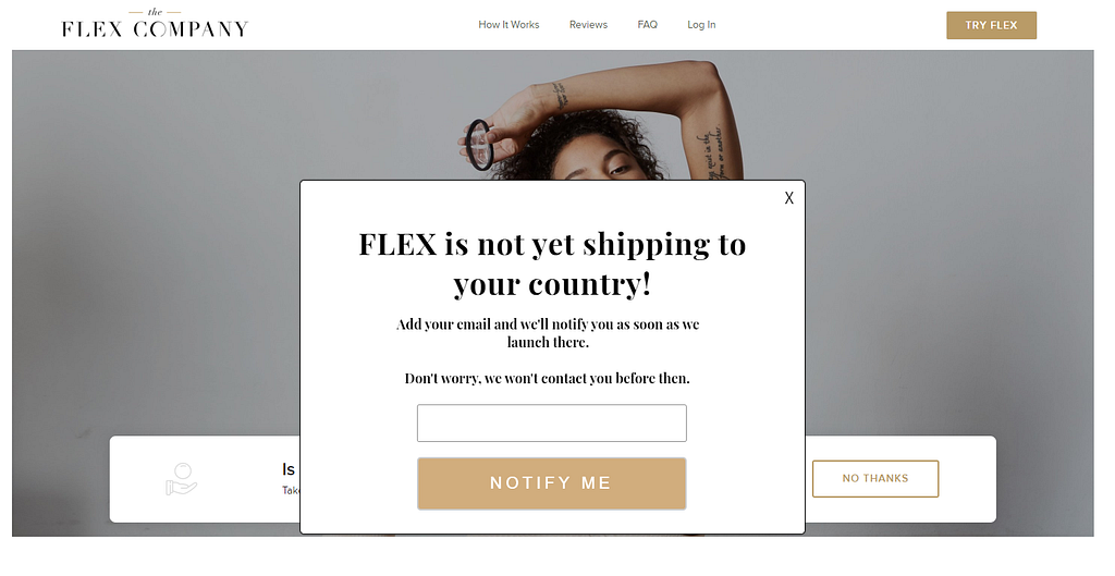 The Flex Company's email popup