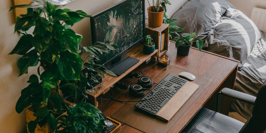 Wooden desk , plants, home decor, office space