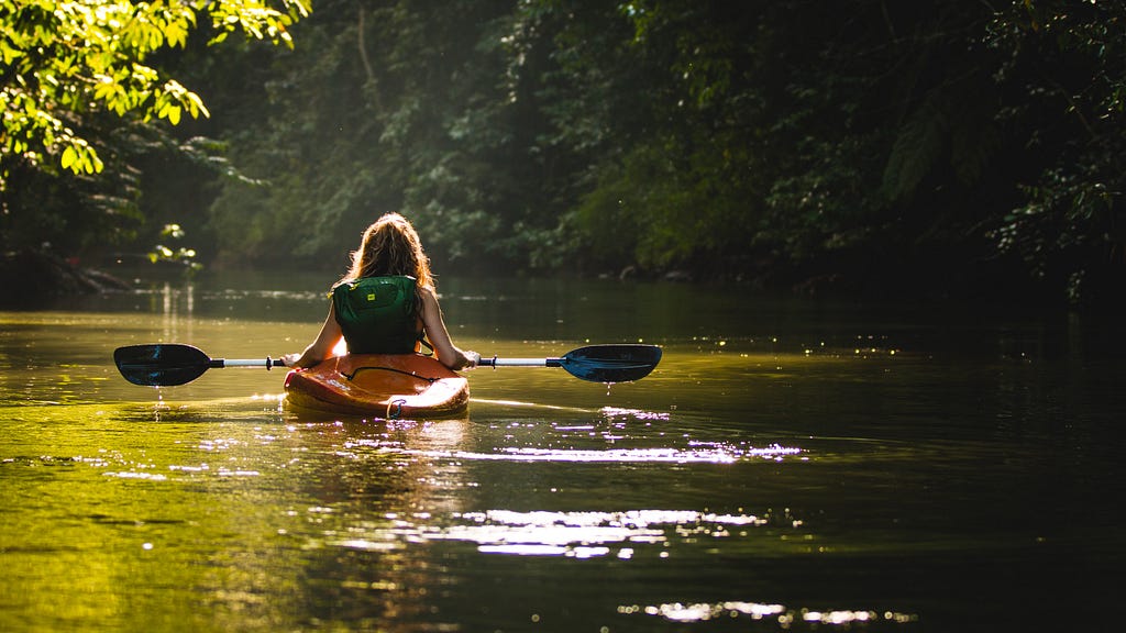 A woman kayaks among the trees