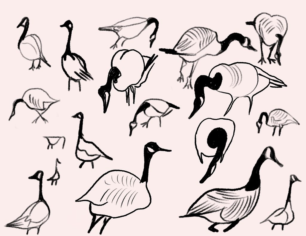 Observing the flock based on how individual biological behaviors aggregate into structured group intelligence (image source: Asa Leonard)