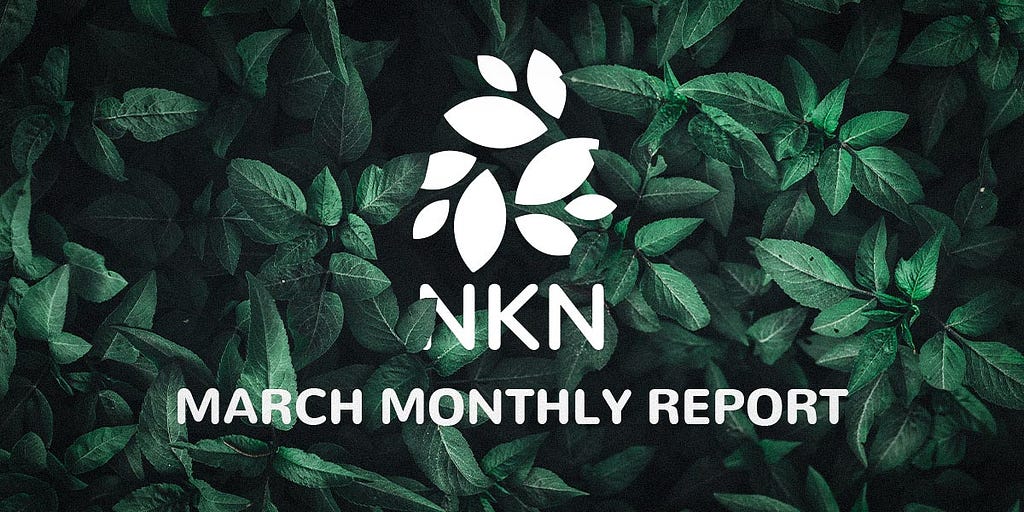 NKN Monthly Report March 2023