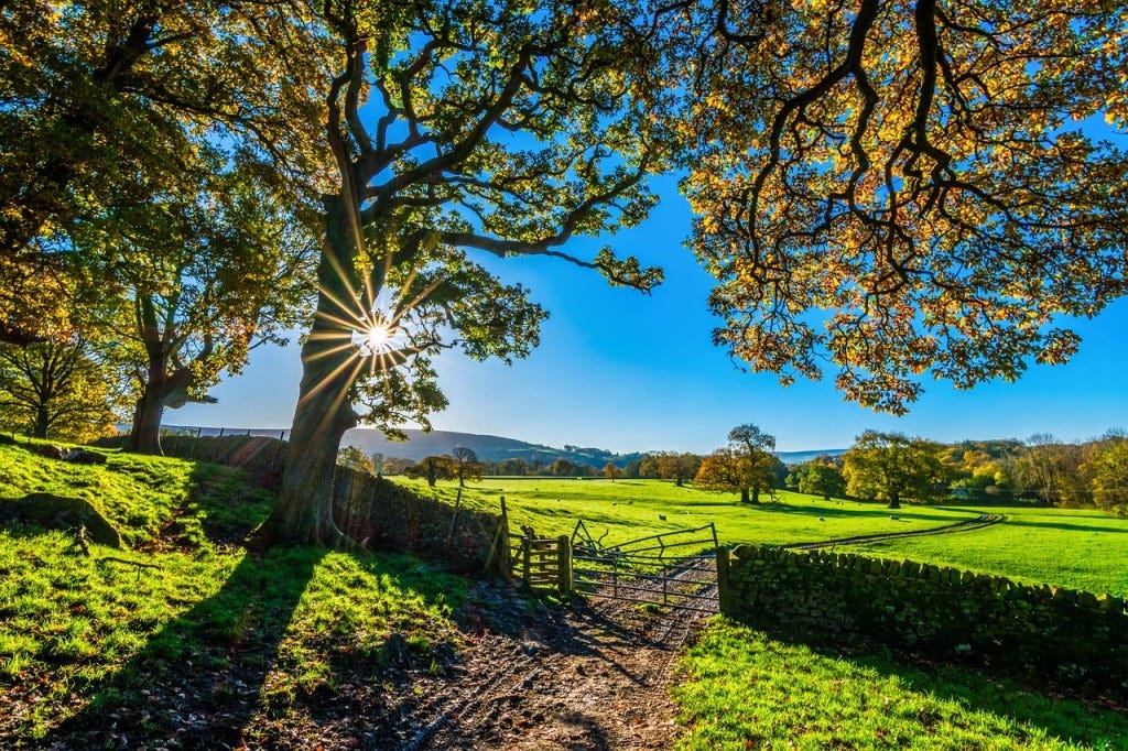 https://pixabay.com/photos/trees-farm-fence-farmland-2900064/