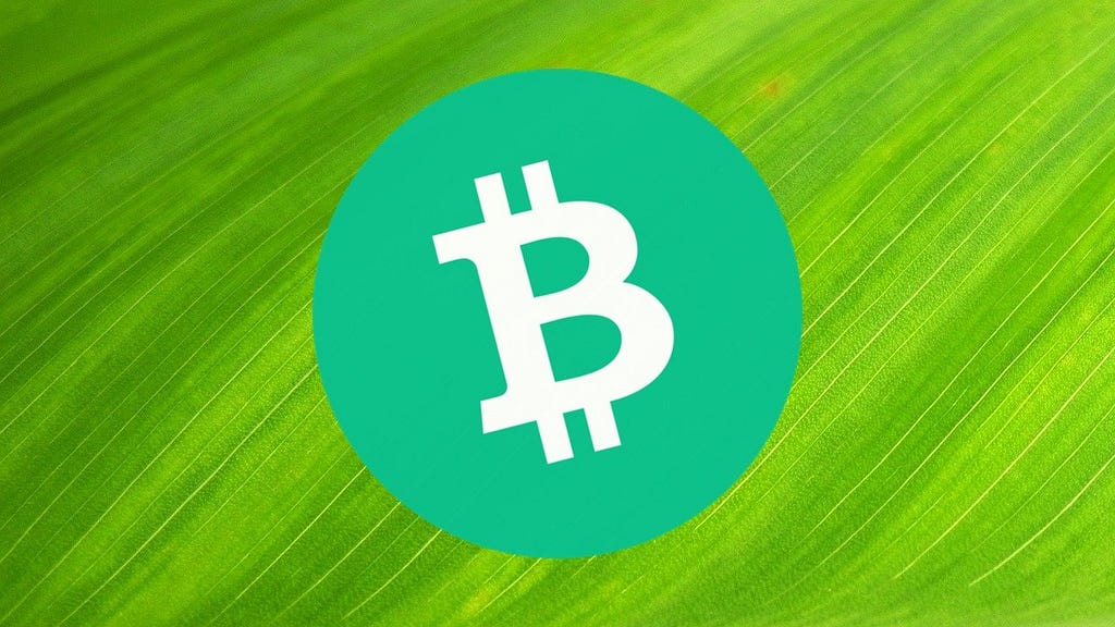 Bitcoin Cash logo on top of a leaf (green background)