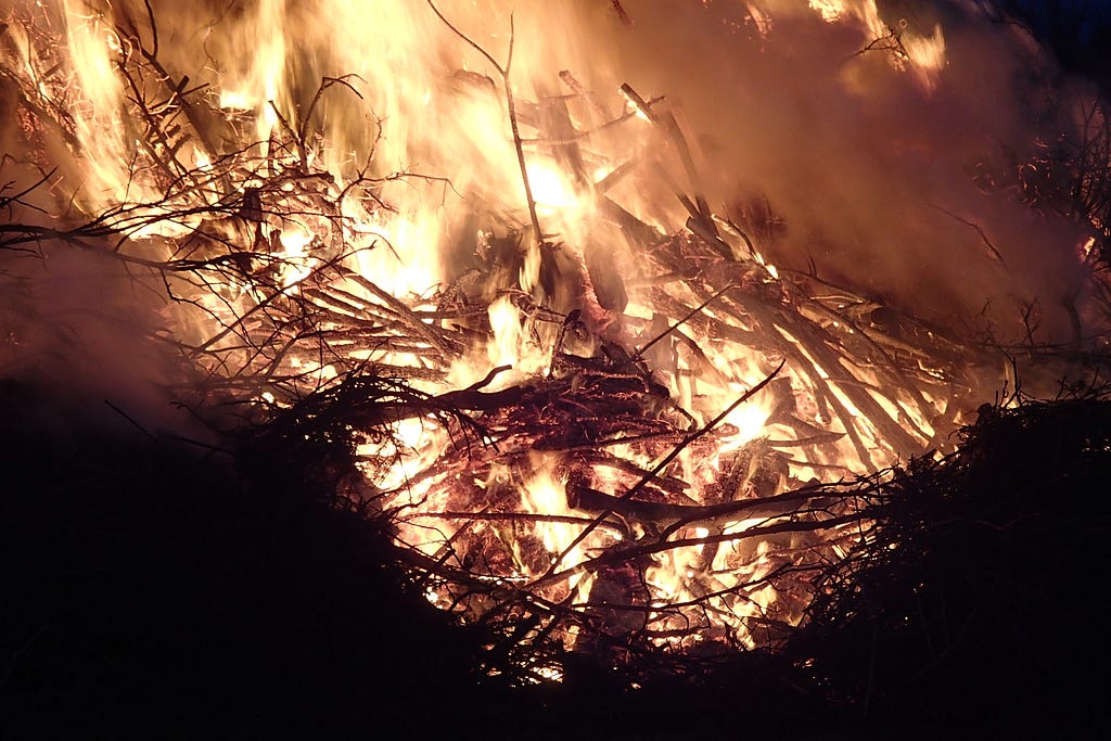 Flames of a brush fire are shown.