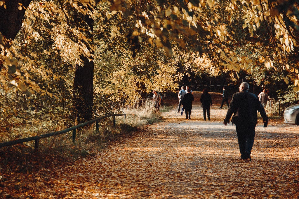 People out for a walk on a tree lined street in Autumn.