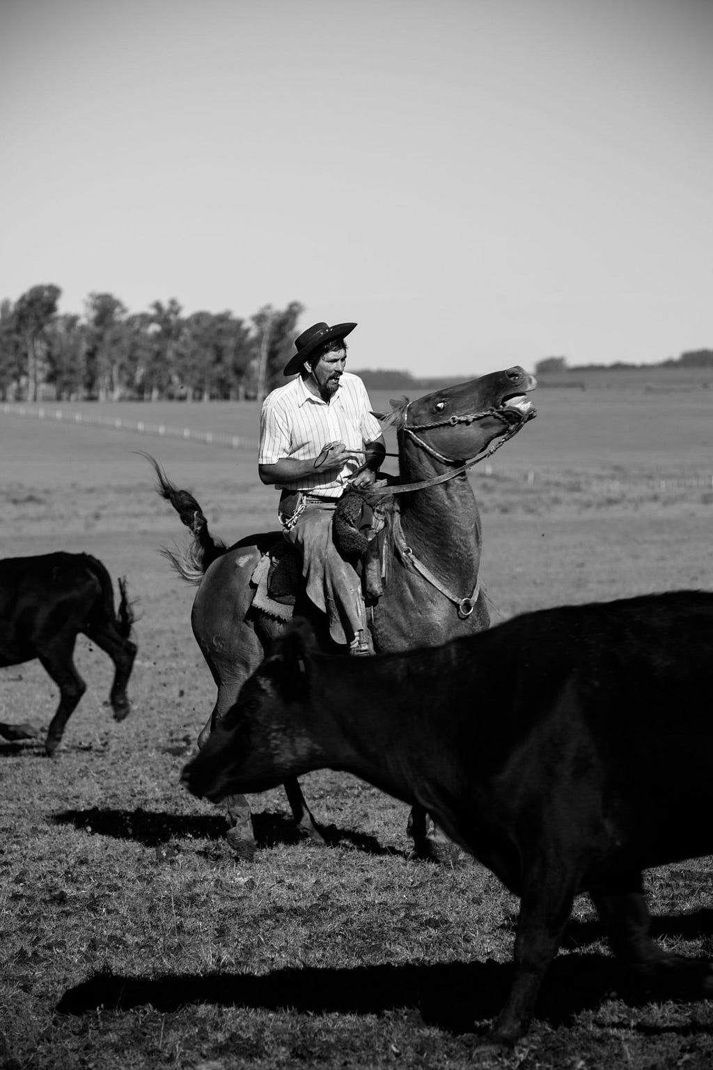 Uruguay’s traditional culture is changing. Not all younger gauchos are content with a hard life in isolated communities when more money can be earned driving a tractor elsewhere.
©James Fisher 2017 All Rights Reserved