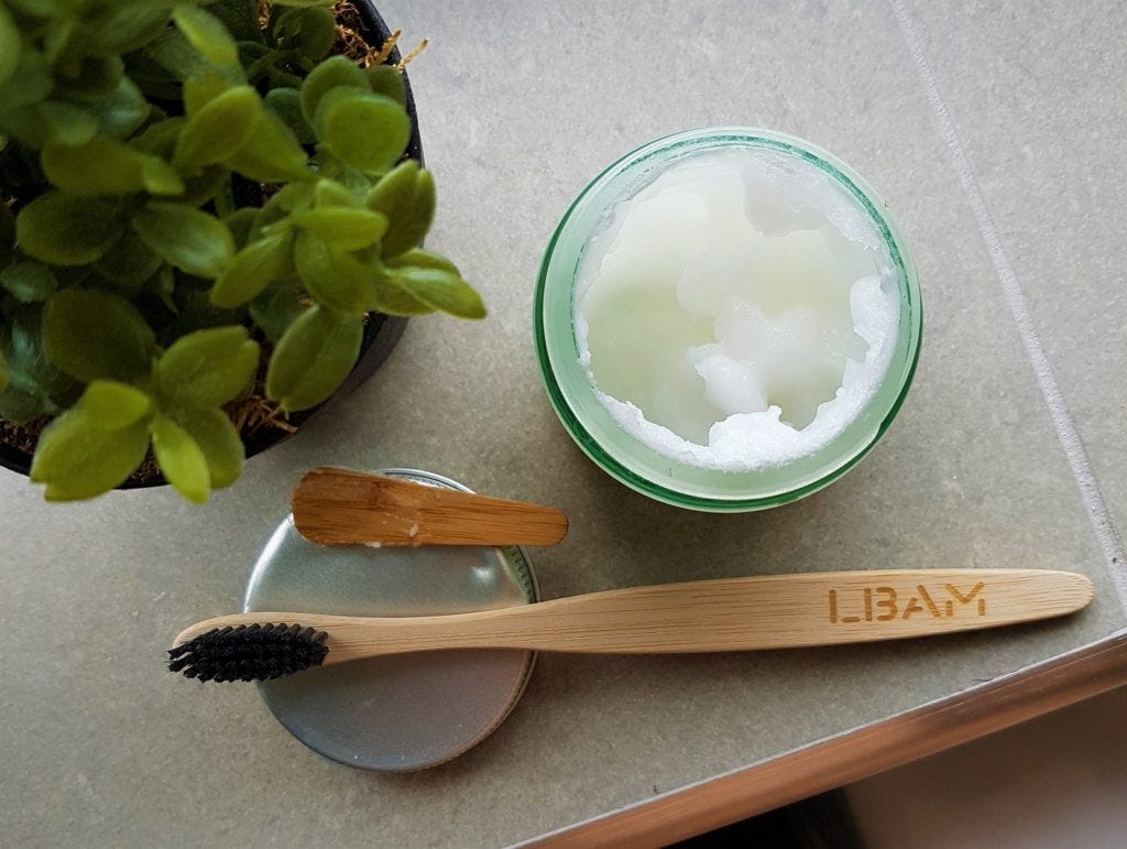 Homemade toothpaste, a bamboo toothbrush, a potted plant