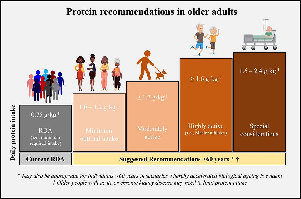 protein recommendations for older adults