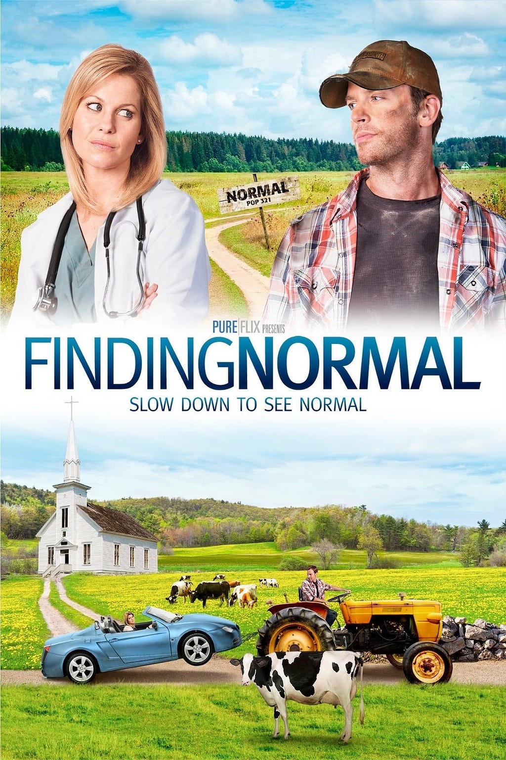 Finding Normal (2013) | Poster