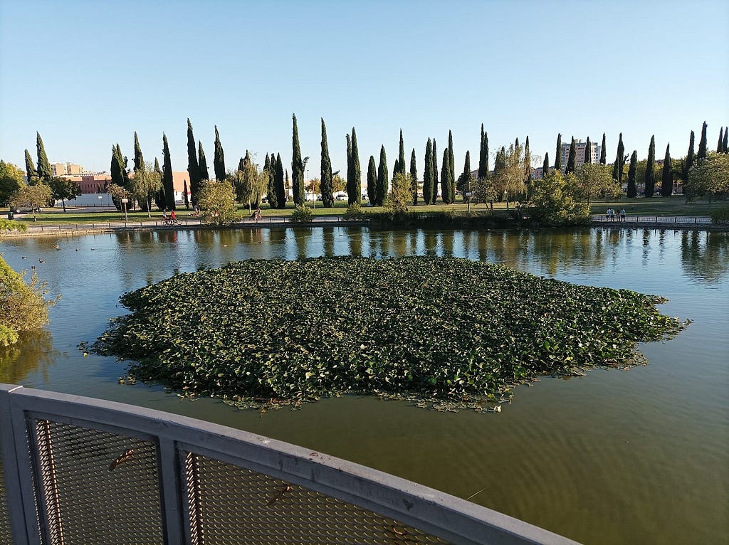 Ciudad de Mayari Park