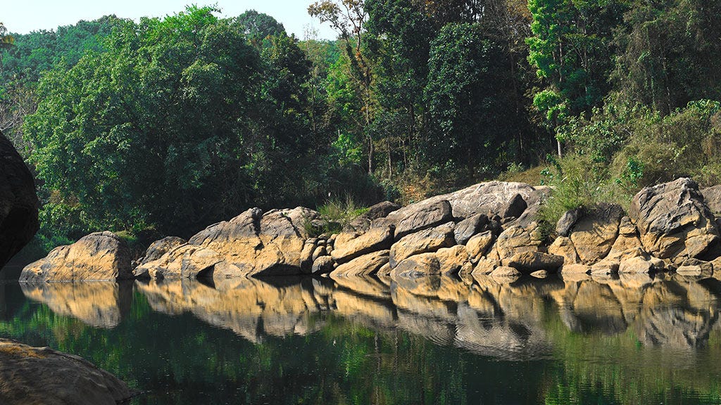 Bhoothathankettu Dam and Reserve Forest