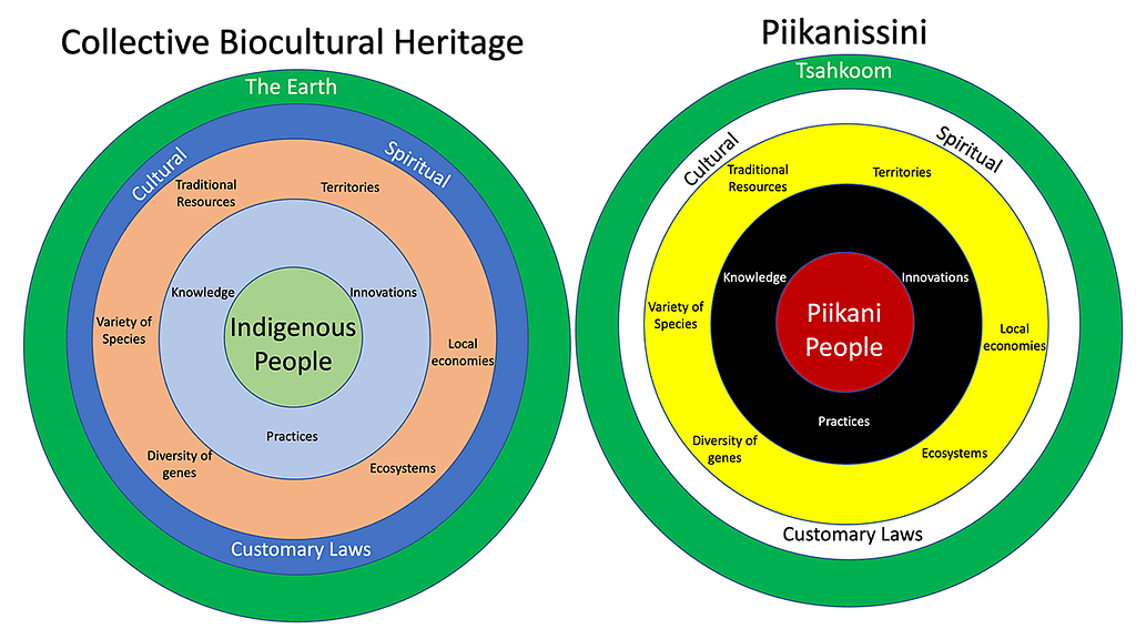 Piikanissini, the Piikani way of life and being, compared to the concept of collective biocultural heritage.