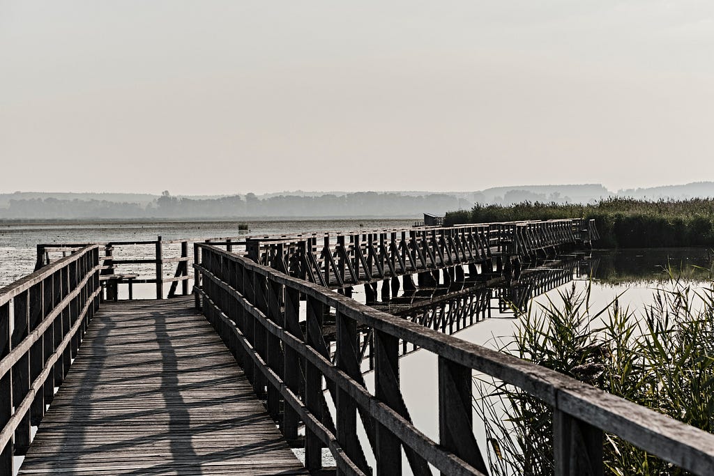 A rickety old dock into the water, in sepia tones