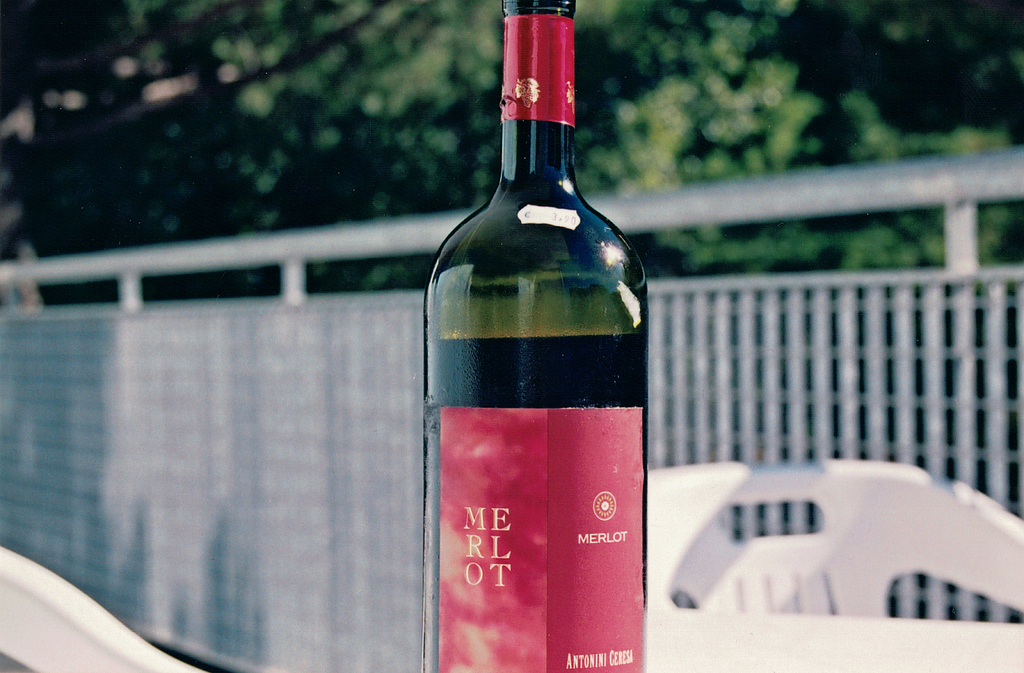Bottle shot of Merlot wine