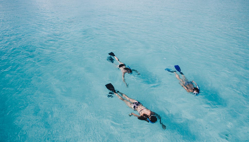 A group of swimmers enjoy snorkelling together.