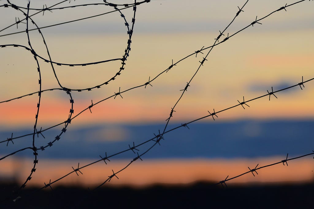 barbed wire in front of a sunset