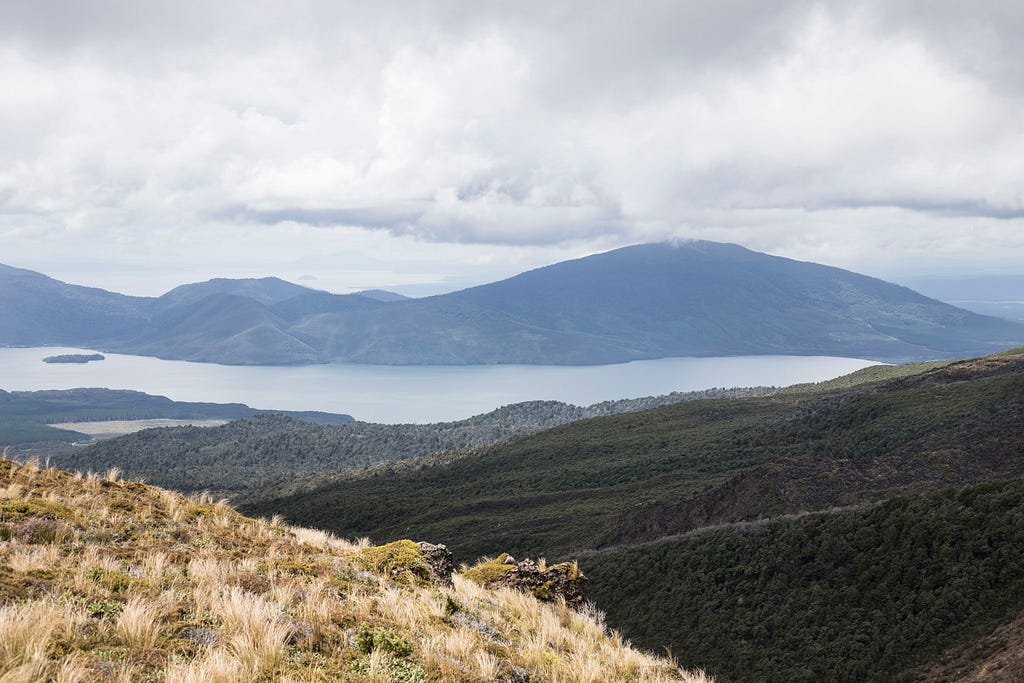 Tongariro: View