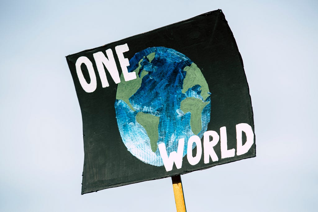 A handmade sign of planet Earth with black background and white lettering saying “One World” in all caps. Likely used at a protest.