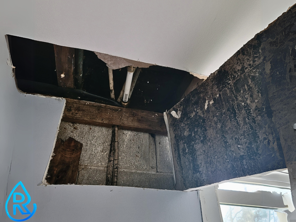 Roof Leak Lead to mold growth behind drywall on ceiling