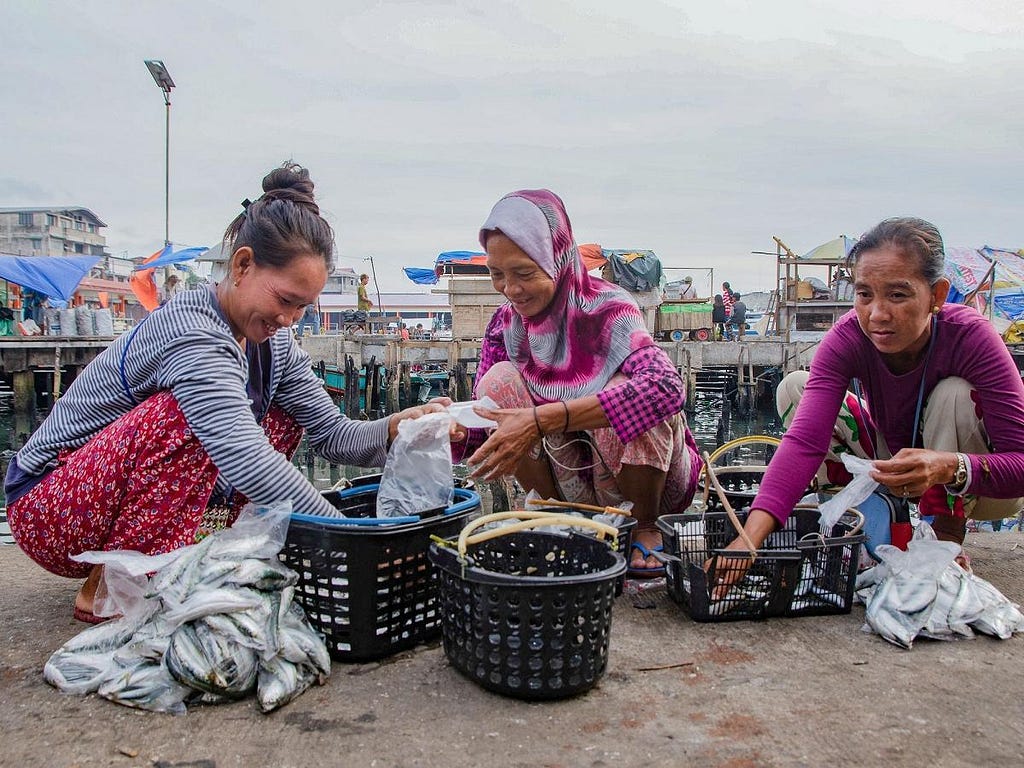 Three women crouch on a shoreline while packing up fish from baskets and into plastic bags.