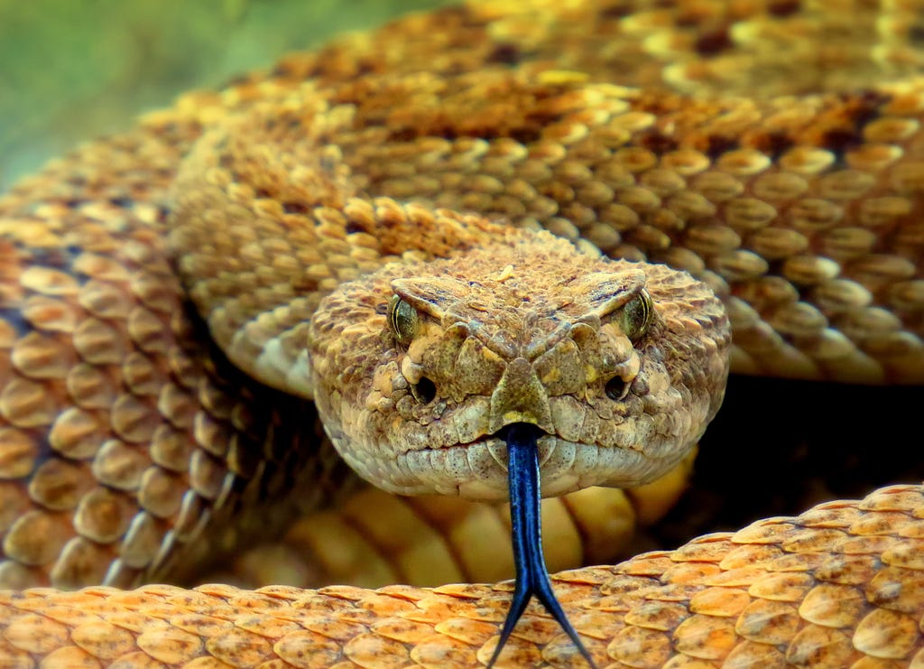 Transform Mapped Types From Snake To CamelCase In TypeScript LaptrinhX