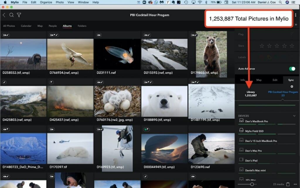 Daniel’s library has 1,253,887 images and counting