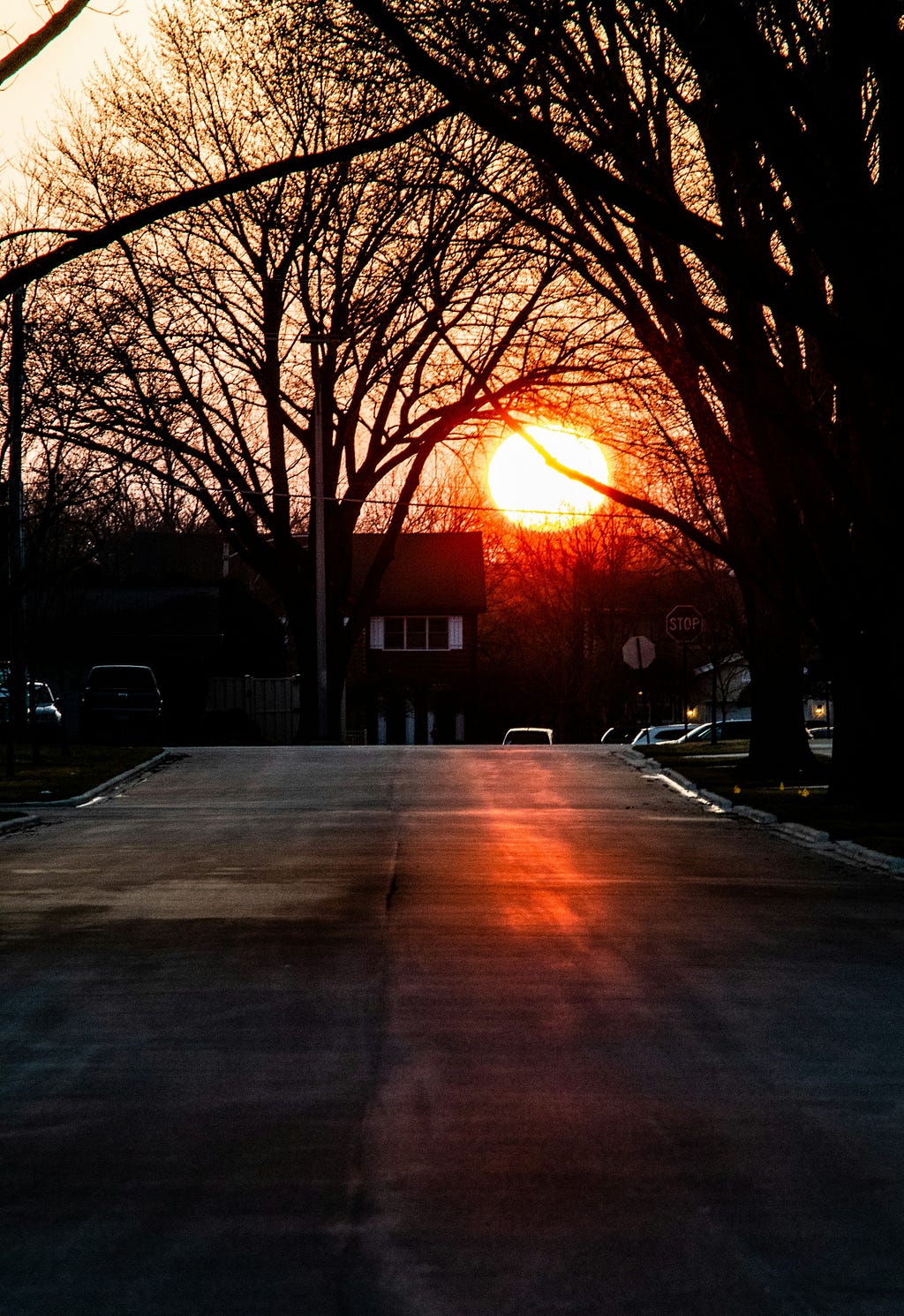 Sunset in Suburbia
