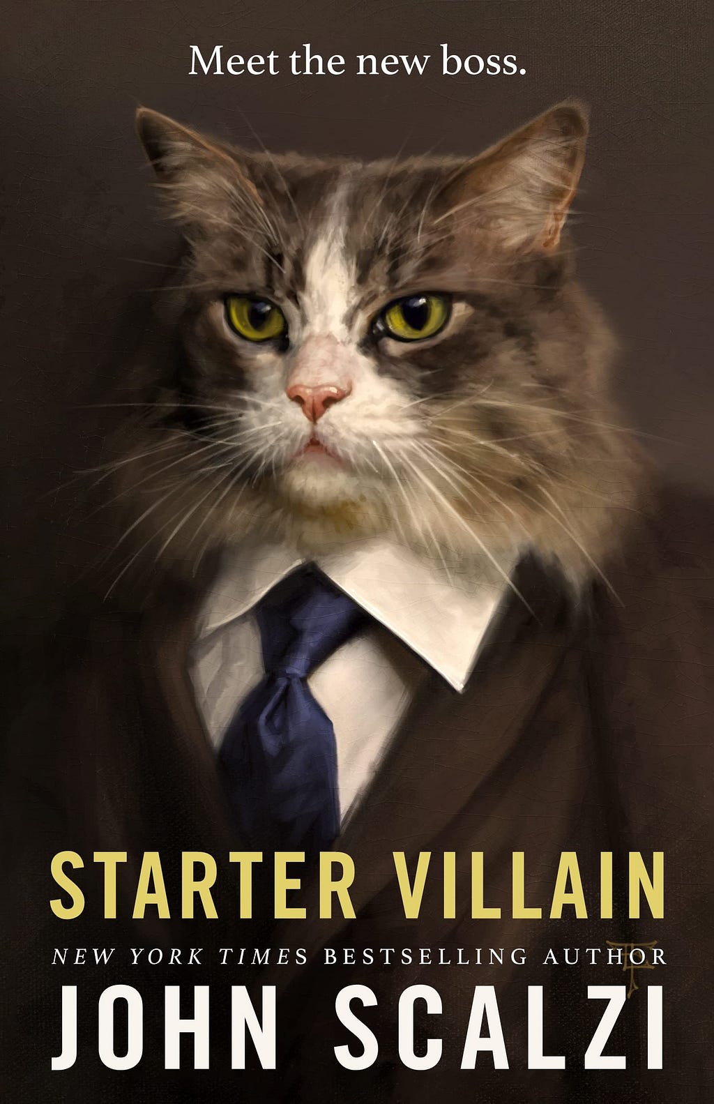 Starter Villain PDF